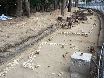写真：015・023方形周溝墓（北西から）